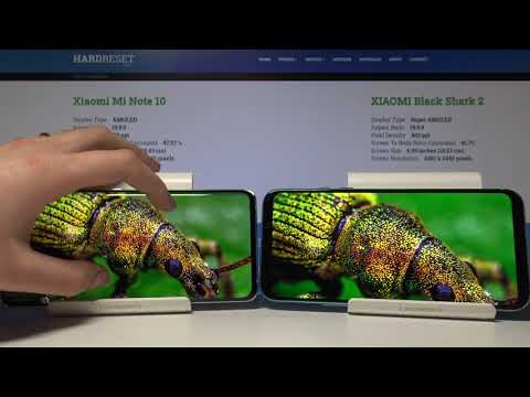 Display Comparison XIAOMI Black Shark 2 vs XIAOMI Mi Note 10 | Check Screen Quality