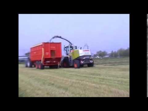 Quintyn: Gras hakselen.