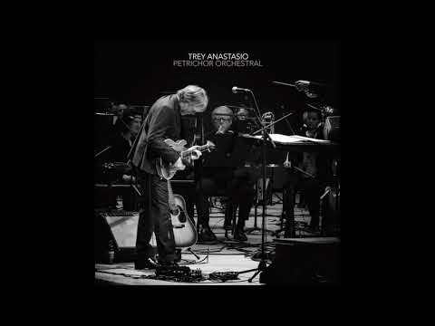 Trey Anastasio - Petrichor Orchestral