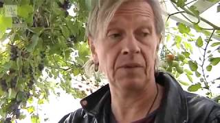 Stefan Sundström - (Om) Stefans stora blå