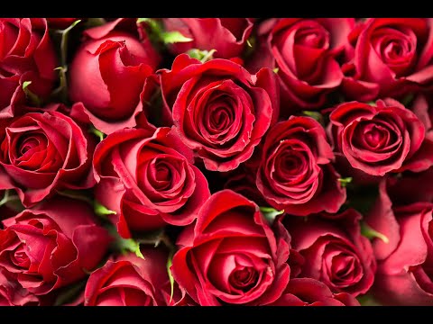 ROBERTO CARLOS DE TANTO AMOR 1971