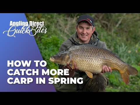 How To Catch More Carp In Spring - Carp Fishing Quickbite