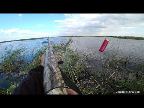 Охота на болотоходе была трудовая, но утку мы все таки нашли.