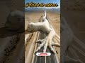 Allah Hu Akbar Allahhuakbarallahhuakbar Allah Sorts Live Islamicstatus Beautiful
