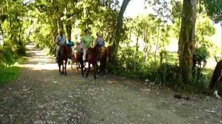 preview picture of video 'Horseback Riding; Intense Vacation Travel Dominican Republic'