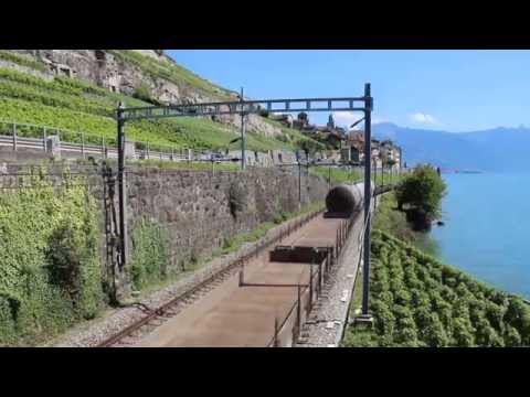 Re 6/6 der SBB CFF FFS mit einem Güterzug in Rivaz