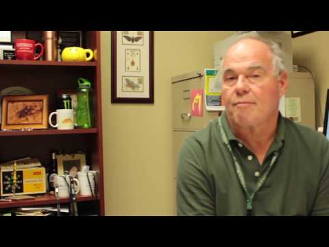 A Closer Look at the SCLA