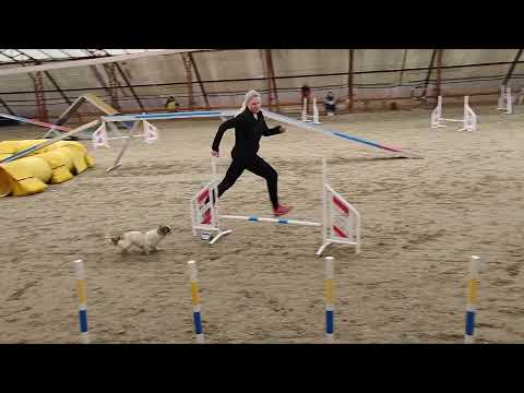 Kraft Húsvéti Vizsga - A2 Agility 1. futam (2023.04.08.)