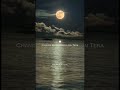 Kesariya Slowed Reverb Arijit Singh Aesthetic Status Arijitsingh Whatsappstatus Lofi