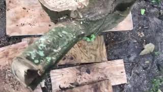 How to get rid of (dispose of) big logs on you property or around your house