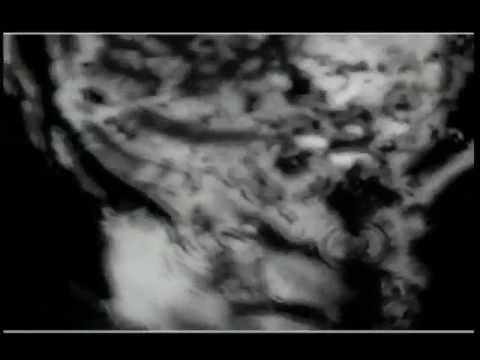 Lucie - Všechno Ti dávám