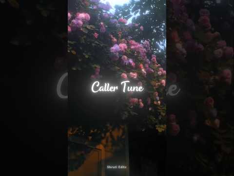 Tujhsa haseen maine dekha hi nahi || Tere chehre ka noor mujhe deta hai suroor || Shruti Editz