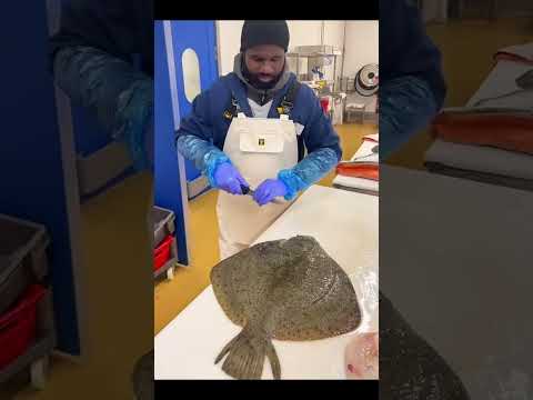 Who shows us how to clean and fillet a MASSIVE Turbot fish. 😳