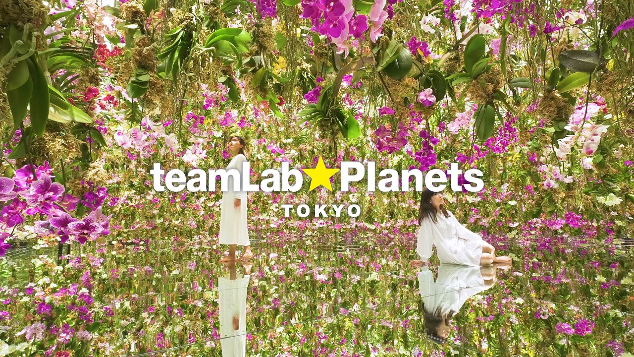 Experience teamLab Planets Tokyo, a breathtaking cinematic dive into digital wonders!