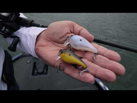 Berkley WakeBull Pro Tip with Scott Suggs