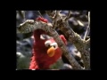 The Adventures Of Elmo In Grouchland Trailer 1999 VHS Capture