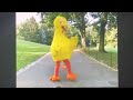 Sesame Street Season 33 Opening Intro 2002