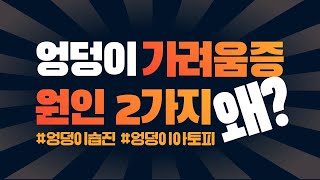 엉덩이가 자꾸 습하고 가렵다면 이것 때문!