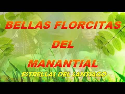 BELLAS FLORCITAS DEL MANANTIAL  - CHIQUITITO CORAZÓN ((SANTIAGO ))