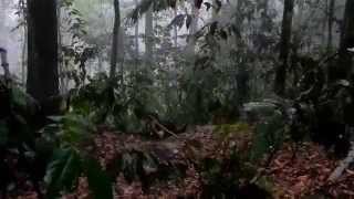 Download lagu WORRIOR mp3 Download lagu WORRIOR mp3