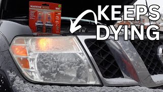 Headlight Keeps Dying - Dielectric Grease