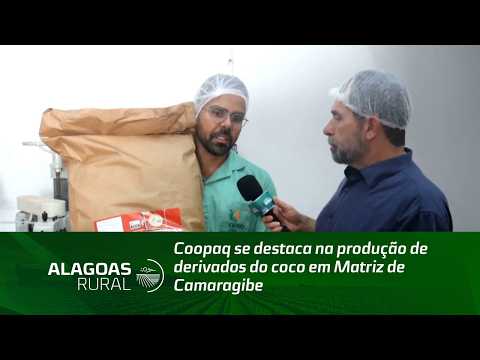 Coopaq se destaca na produção de derivados do coco em Matriz de Camaragibe