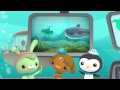 Creature Report The Octonauts