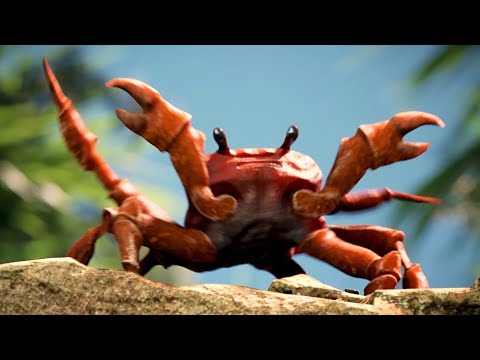 Crab rave but its buttercup (the feret video)