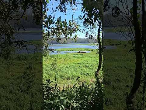 Parque Milton Marinho Ribeirão Pires #shorts #passeio #turismosp #ribeiraopires #abcpaulista