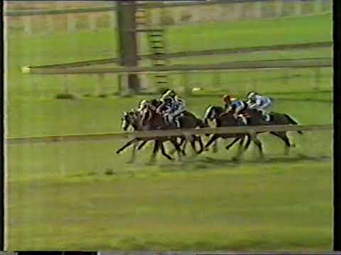 Sandown Sat 24 August 1985