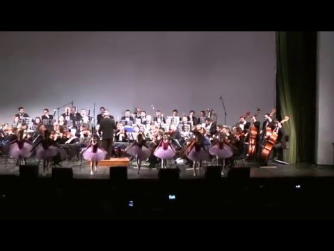 Concert extraordinar de Craciun 2015 Bacau