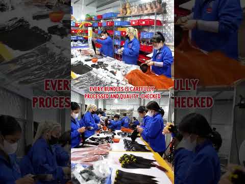 Factory Tour Video