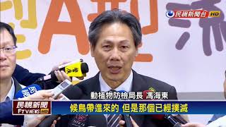 Download the video "禽流感好發季報到 防疫甩新型A型流感－民視新聞"