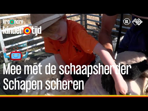 Scheren | Mee met de schaapsherder | Kindertijd KRO-NCRV