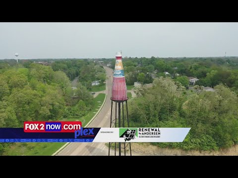 Trending topics - St. Louis landmarks and Missouri swans