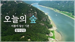 [#오늘의숲] 여름에 닿는 기분! 운치 가득한 '월악산' 