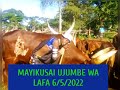MAYIKUSAI UJUMBE WA LAFA MBASHA STUDIO 6 5 2022