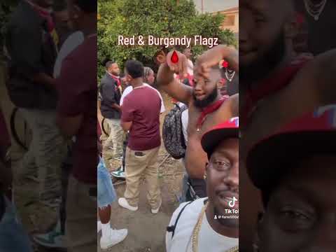 #fypage #kedaru #flame500 #treetoppiru #bompton #piru