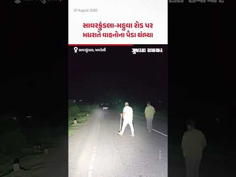એક સિંહણ-3 સિંહબાળ રસ્તા વચ્ચોવચ આવી ગયા, સાવરકુંડલા-મહુવા રોડ પર મધરાતે વાહનોના પૈડા થંભ્યા એક સિંહણ-3 સિંહબાળ રસ્તા વચ્ચોવચ આવી ગયા, સાવરકુંડલા-મહુવા રોડ પર મધરાતે વાહનોના પૈડા થંભ્યા