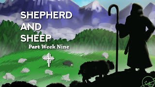 Shepherd and Sheep: Week Nine