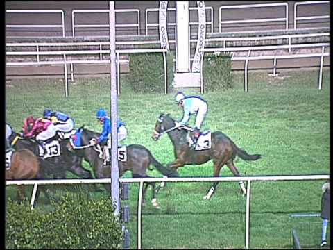 Galoppo 09/12/2016 - 6ª corsa - TRIS