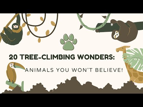 20 Tree-Climbing Wonders: Animals You Won't Believe! #treeclimbinganimal, #animalsintrees, #climbers