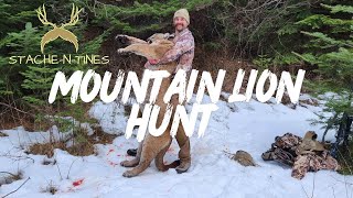 2023 Mountain Lion Hunt