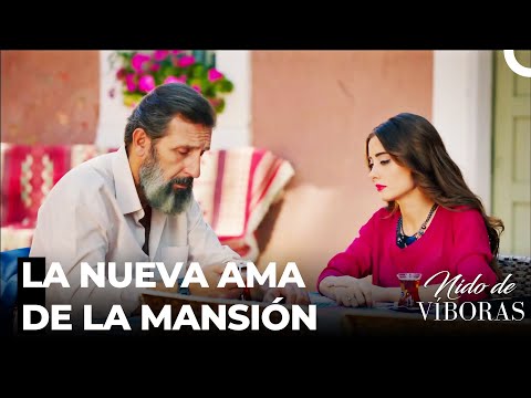 Kudret Le Compró A Elvan La Mansión - Nido De Víboras Capitulo 33 (Dobladas en Español)