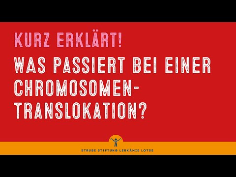 Chromosomen Translokation: was ist das?