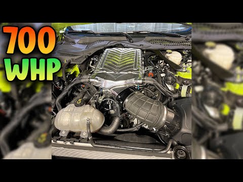 HOW TO MAKE 700 WHEEL HORSEPOWER IN A 2018-2021 MUSTANG GT! (GEN 3 COYOTE) #WHIPPLESUPERCHARGER #V8