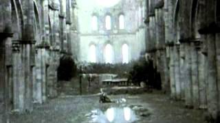 Boards Of Canada - White Cyclosa