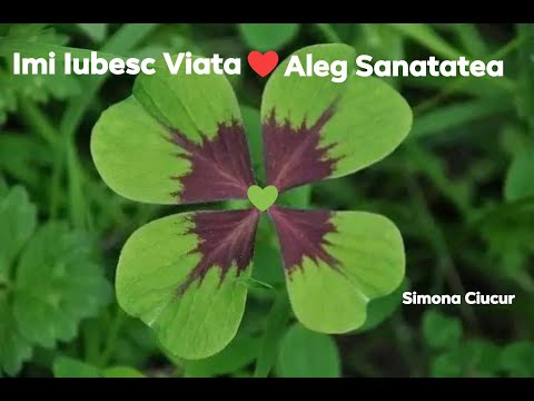 Seminar sanatate  "Sanatatea Ta porneste de la Celula"