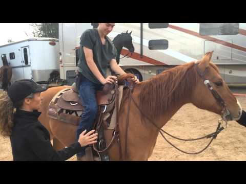 Mount horse without girth for educational purposes; proper mounting technique Video