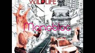Pupil (Wildlife) - Monobloc